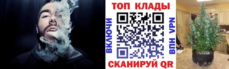 Сколько стоит Курчалой Галлюциногенные грибы  Alpha-PVP  ГАШИШ  Меф мяу мяу  Марихуана 