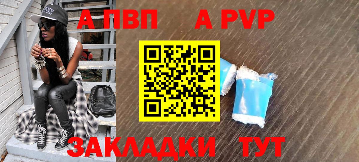 Альфа ПВП СК КРИС Курчалой