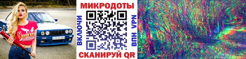 где продают наркотики KRAKEN ссылка Псилоцибиновые грибы Cubensis Курчалой