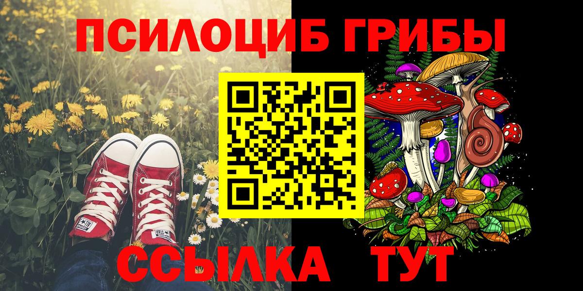 Галлюциногенные грибы мухоморы  Псилоцибиновые грибы Psilocybine cubensis  Курчалой  Вход с VPN 